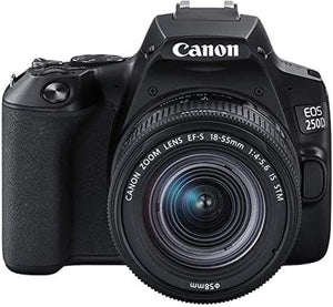 Canon EOS 250D With EF-S 18-55mm STM (Black)